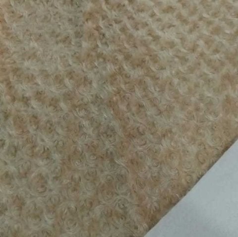 Camel Bülbül Yuvası